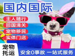 常德桃花源机场快递国际宠物托运 【国